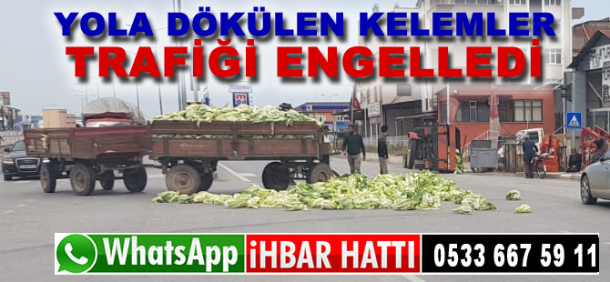 Yola Dökülen Marullar Trafiği Engelledi