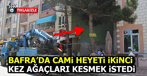 Cami Heyeti Ağaçların Kesilmesini İstedi, Vatandaş Engel Oldu