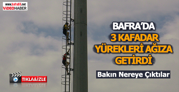 Bafra'da 3 Kafadar Bakın Nereye Çıktı