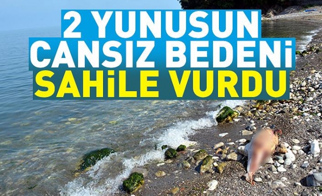 2 Yunusun cansız bedeni sahile vurdu