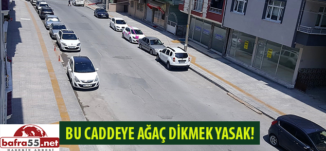 BAFRA'DA BAZI SOKAKLARDA TEK BİR AĞAÇ BİLE YOK