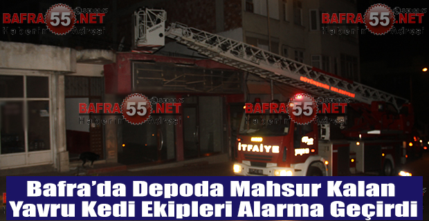 Bafra’da Depoda Mahsur Kalan Yavru Kedi Ekipleri Alarma Geçirdi