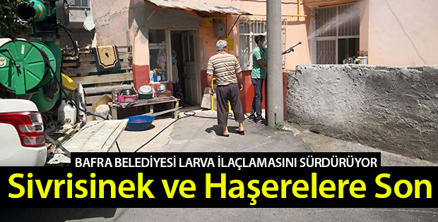 Bafra Belediyesi Larva İlaçlamasını Sürdürüyor