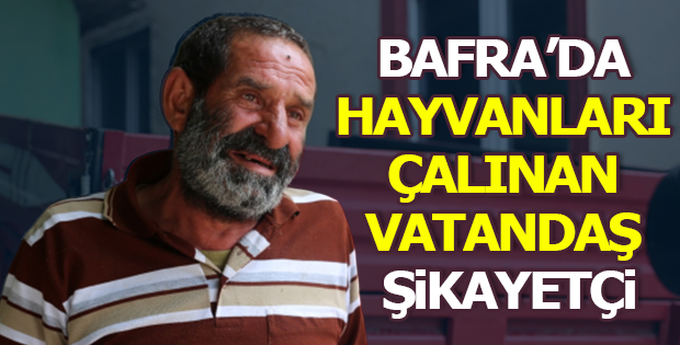 Bafra'da Hayvanları Çalınan Vatandaş Sikayetçi