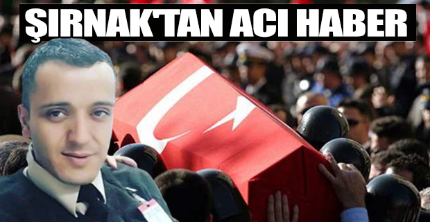 Şırnak'tan Acı Haber! 1 Asker Şehit