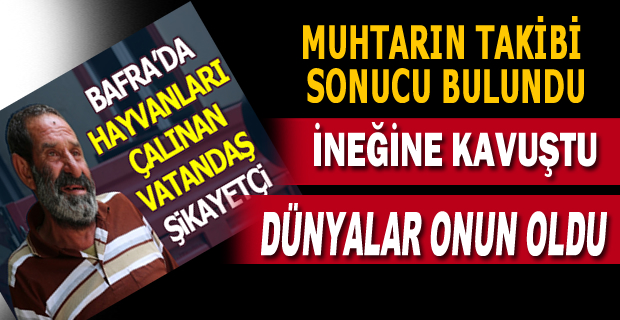 Şaban Özcan'ın ineği bulundu