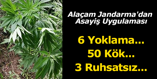 Alaçam Jandarma'dan Asayiş Uygulaması