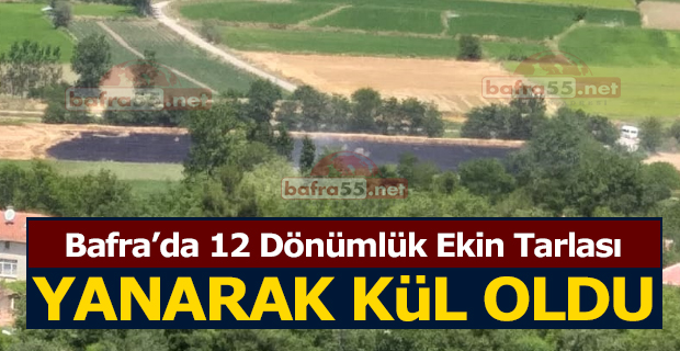 Bafra’da 12 Dönümlük Ekin Tarlası Yanarak Kül Oldu