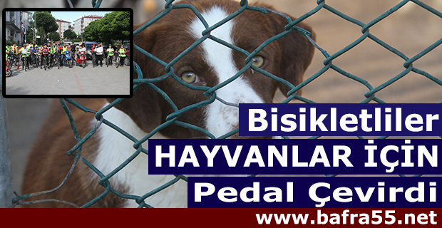 Bisikletliler Hayvanlar İçin Pedal Çevirdi