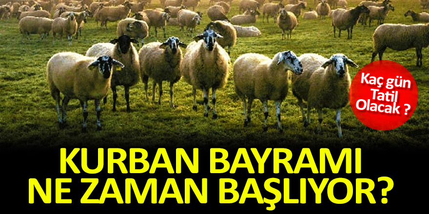 2019 Yılı Kurban Bayramı Ne Zaman