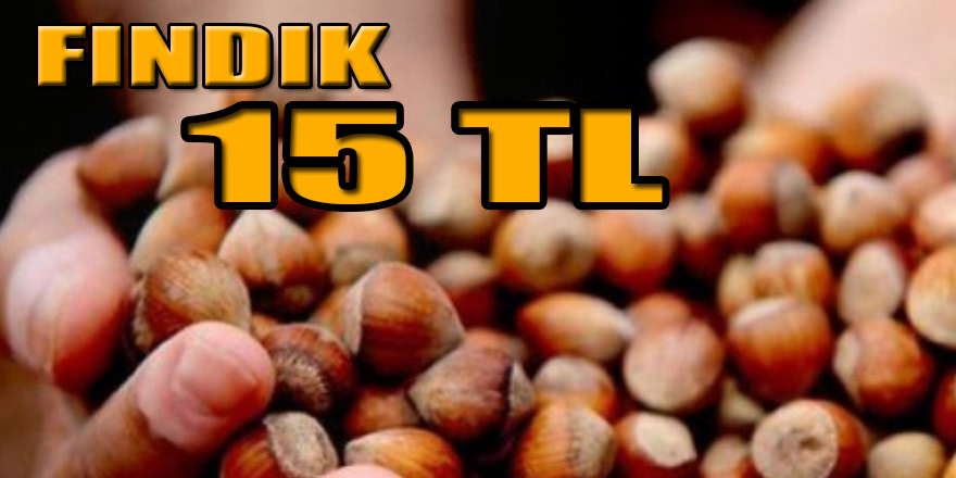 FINDIK TEZGAHA İNDİ 15 TL