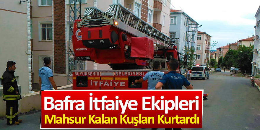 Bafra İtfaiye Ekipleri Mahsur Kalan Kuşları Kurtardı