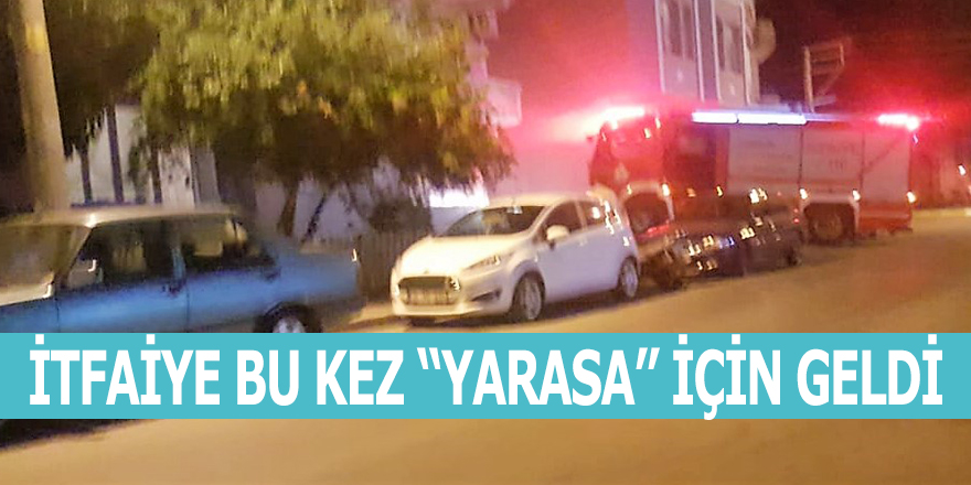 İTFAİYE BU KEZ YARASA İÇİN GELDİ