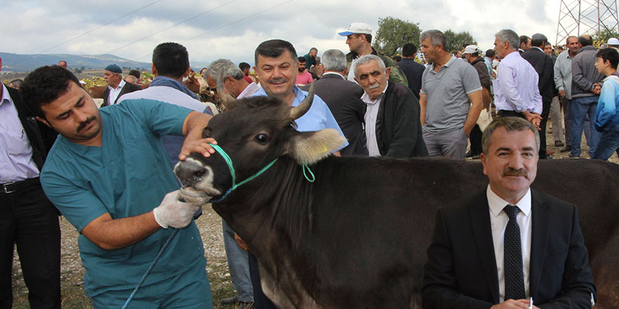 Havza'da Kurban Bayram Tedbirleri Alındı