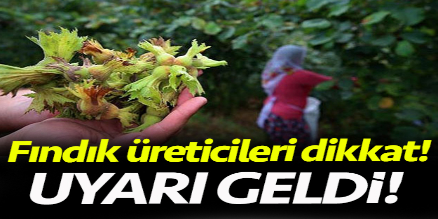 Fındık üreticilerine onemli uyari