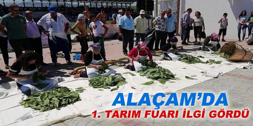 Alaçam'da 1. Tarım Fuarı