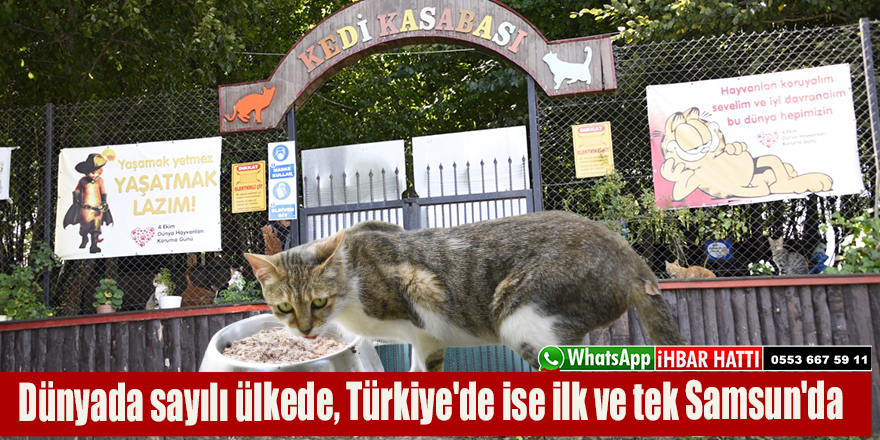 Dünyada sayılı ülkede, Türkiye'de ise ilk ve tek Samsun'da