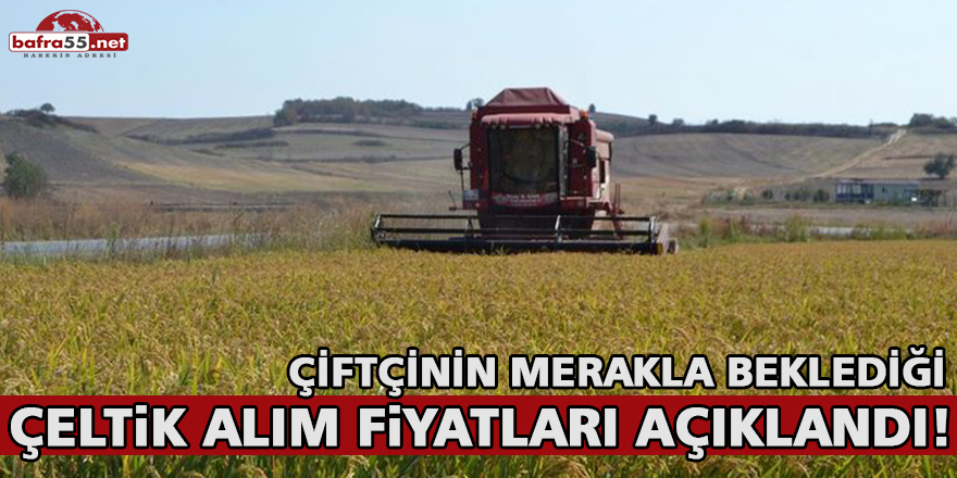 ÇELTiK ALIM FiYATLARI AÇIKLANDI!