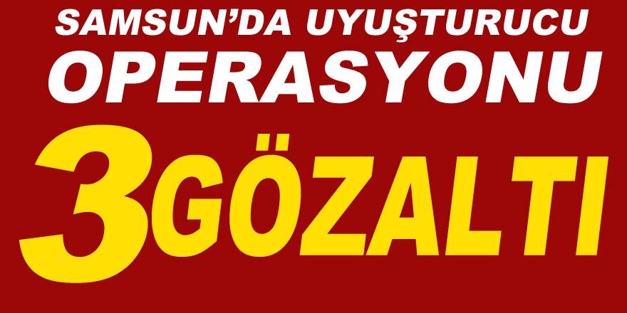 Samsun'da 3 kişi gözaltına alındı