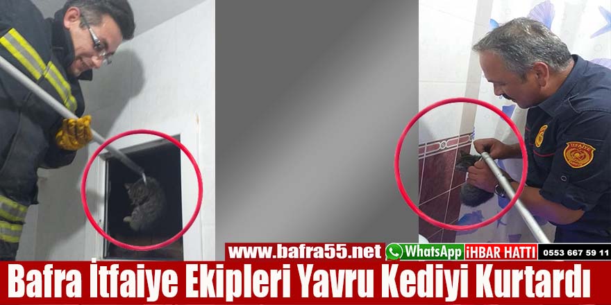 Bafra İtfaiye Ekipleri Yavru Kediyi Kurtardı