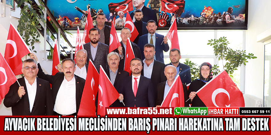 AYVACIK BELEDİYESİ MECLİSİNDEN BARIŞ PINARI HAREKATINA TAM DESTEK