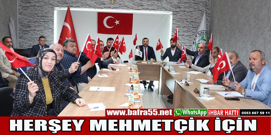 HERŞEY MEHMETÇİK İÇİN