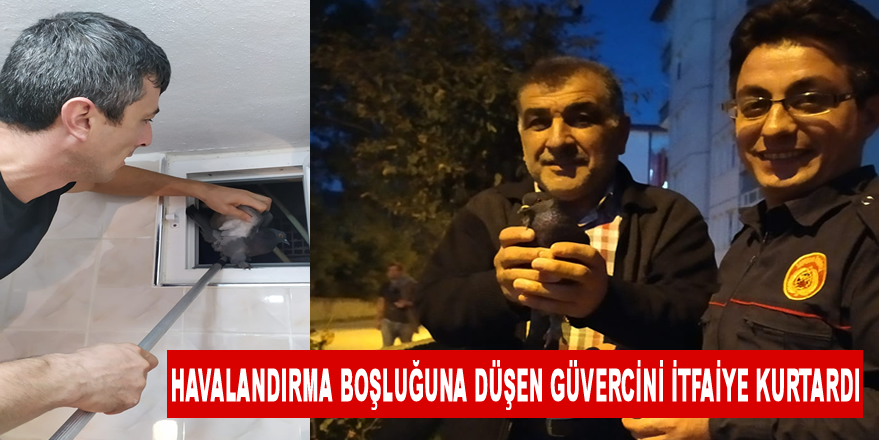 Havalandırma boşluğuna düşen güvercini itfaiye kurtardı