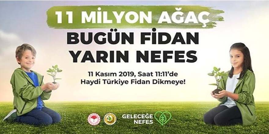 BAFRA 11 MİLYON AĞAÇ İÇİN BULUŞUYOR