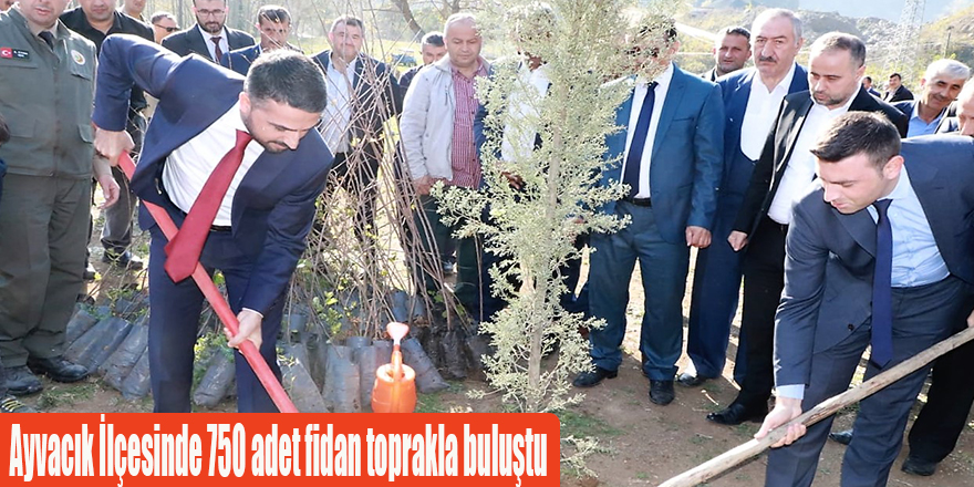 Ayvacık İlçesinde 750 adet fidan toprakla buluştu