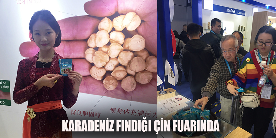 KARADENİZ FINDIĞI ÇİN FUARINDA