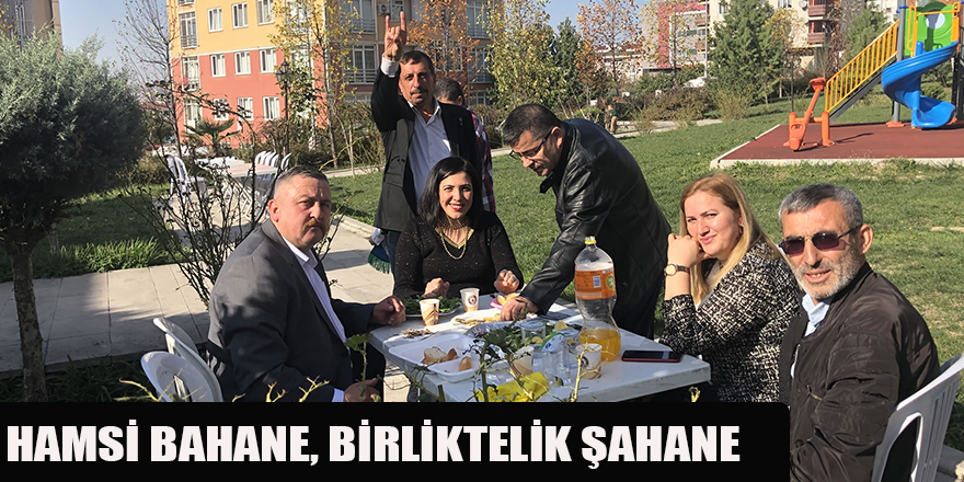 HAMSİ BAHANE, BİRLİKTELİK ŞAHANE