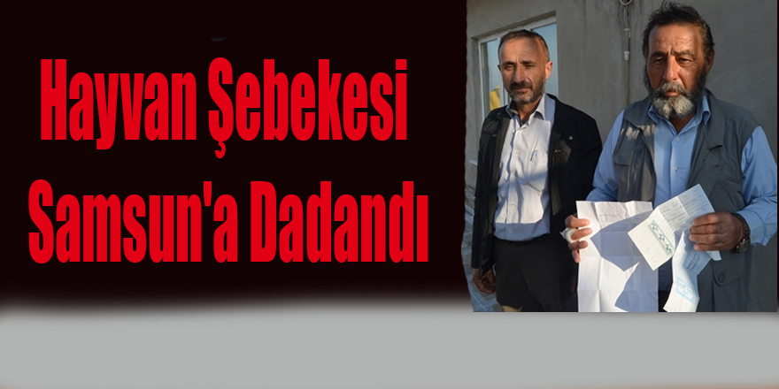 Hayvan Şebekesi Samsun'a Dadandı