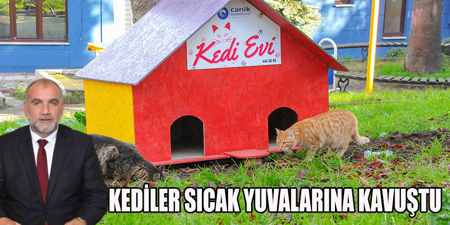 KEDİLER SICAK YUVALARINA KAVUŞTU