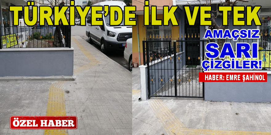 Bafra'da Sarı Çizgi Komodisi