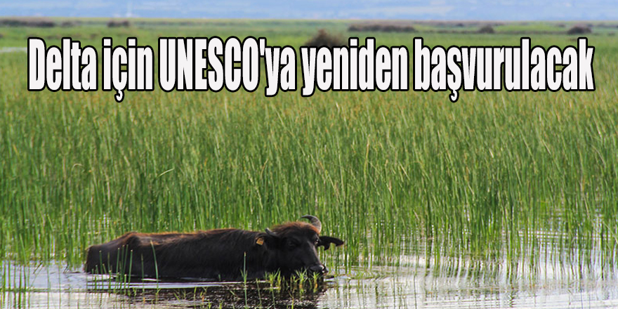 Delta için UNESCO'ya yeniden başvurulacak