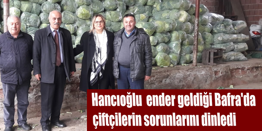 Hancıoğlu;"Lahana, yüksek girdi maliyetine kurban edilmesin"