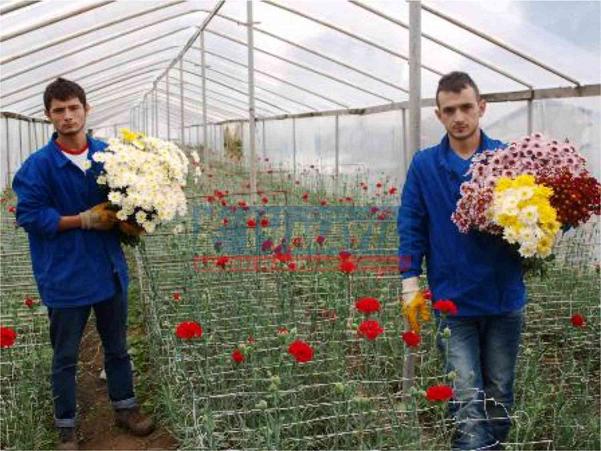 TÜRKİYE'NİN ÇİÇEĞİ 19 MAYIS'TAN