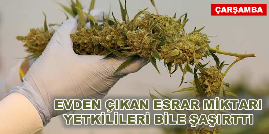 Evden Çıkan esrar Miktarı şaşırttı