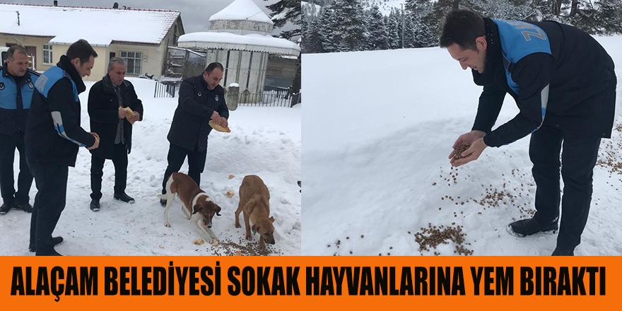 ALAÇAM BELEDİYESİ SOKAK HAYVANLARINA YEM BIRAKTI