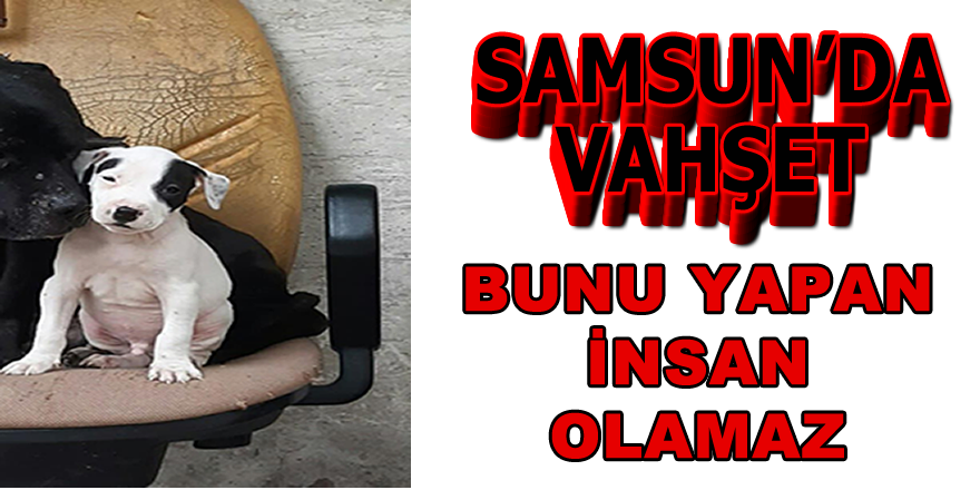 Samsun 'da Vahşet