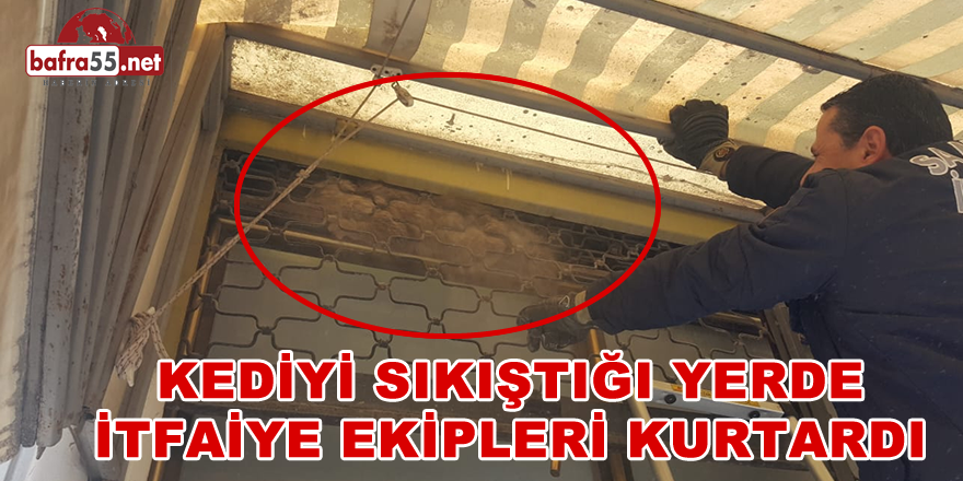 Dükkanın Kepengine Sıkışan Kediyi İtfaiye Kurtardı