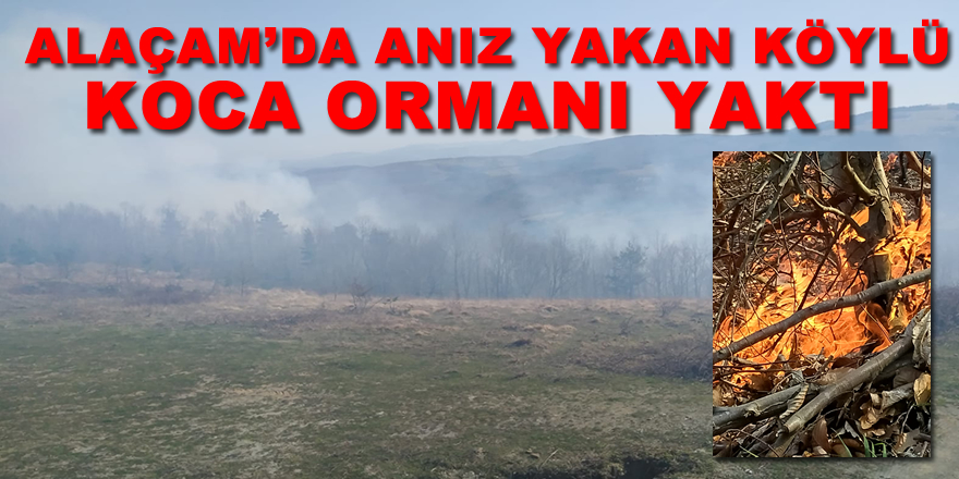 Anız Yangını Ormana Sıçradı