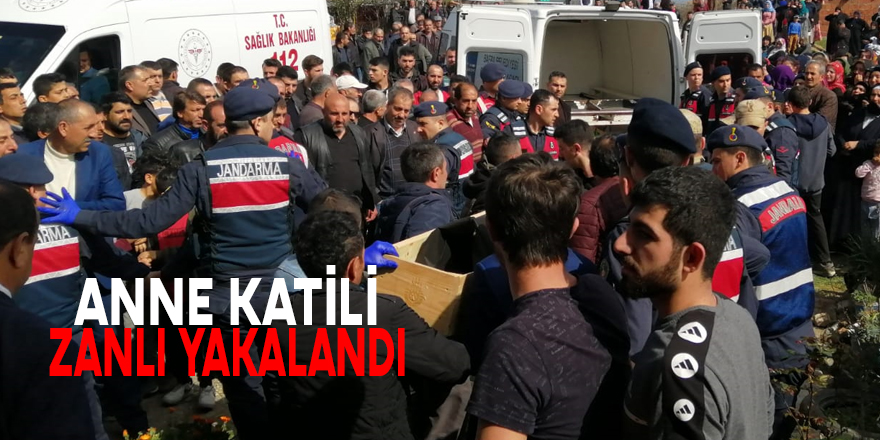 Anne Katili oğul Yakalandı