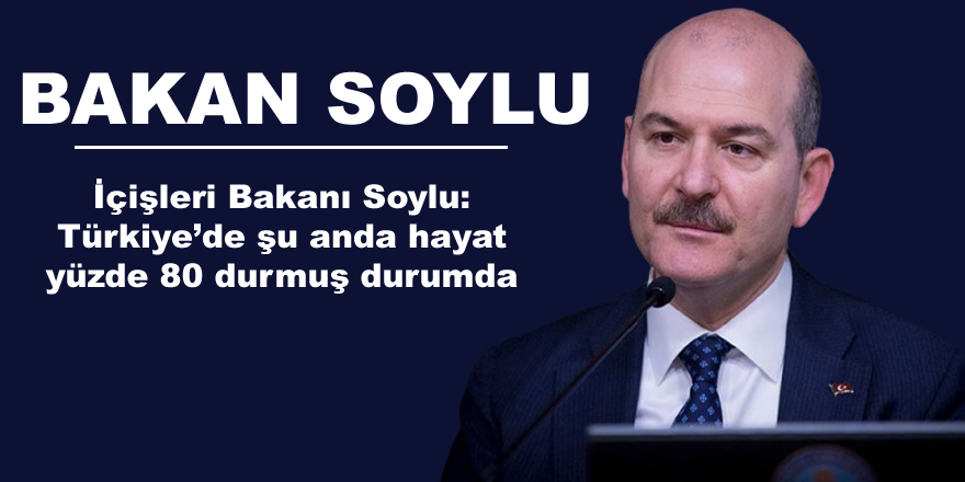 İçişleri Bakanı Soylu: Türkiye'de şu anda hayat yüzde 80 durmuş durumda