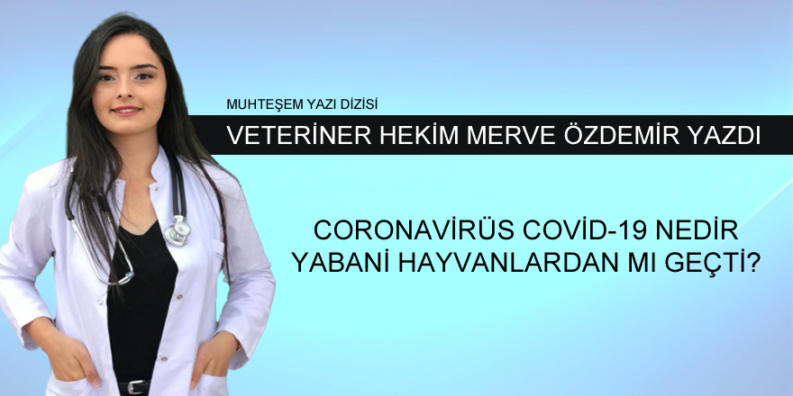 Merve Özdemir'in Kaleminden