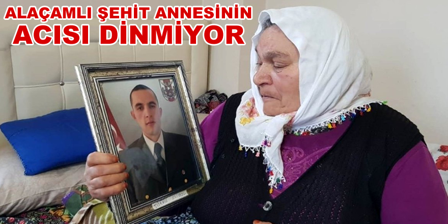 Alaçamlı Şehit Annesinin Acısı Dinmiyor