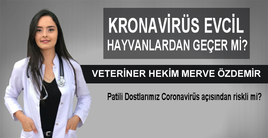 Veteriner Hekim Merve Özdemir Yazdı
