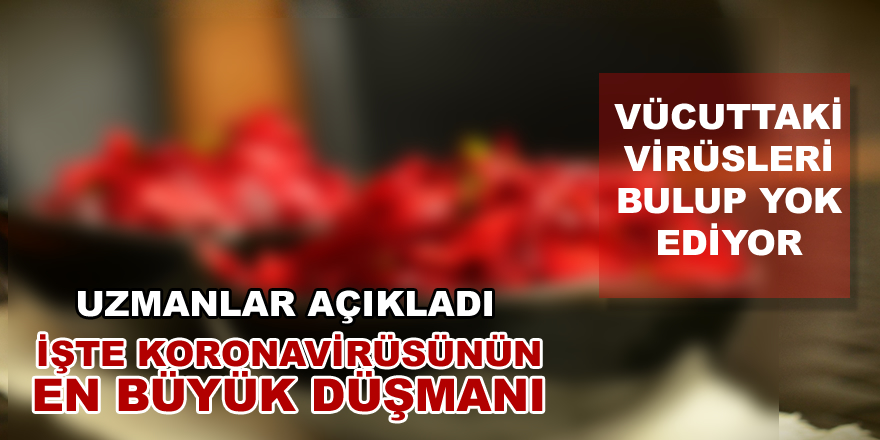 Vücuttaki virüsleri bulup yok ediyor!