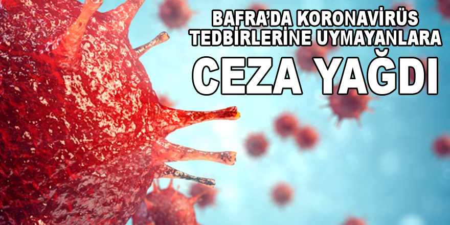 Bafra'da Koronavirüs Tedbirlerine Uymayanlara Ceza Yağdı