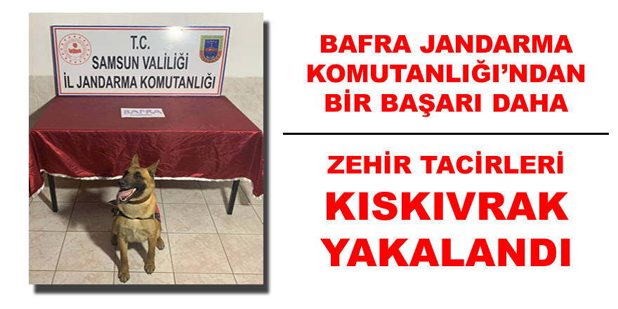 Bafra’da Uyuşturucu Operasyonu